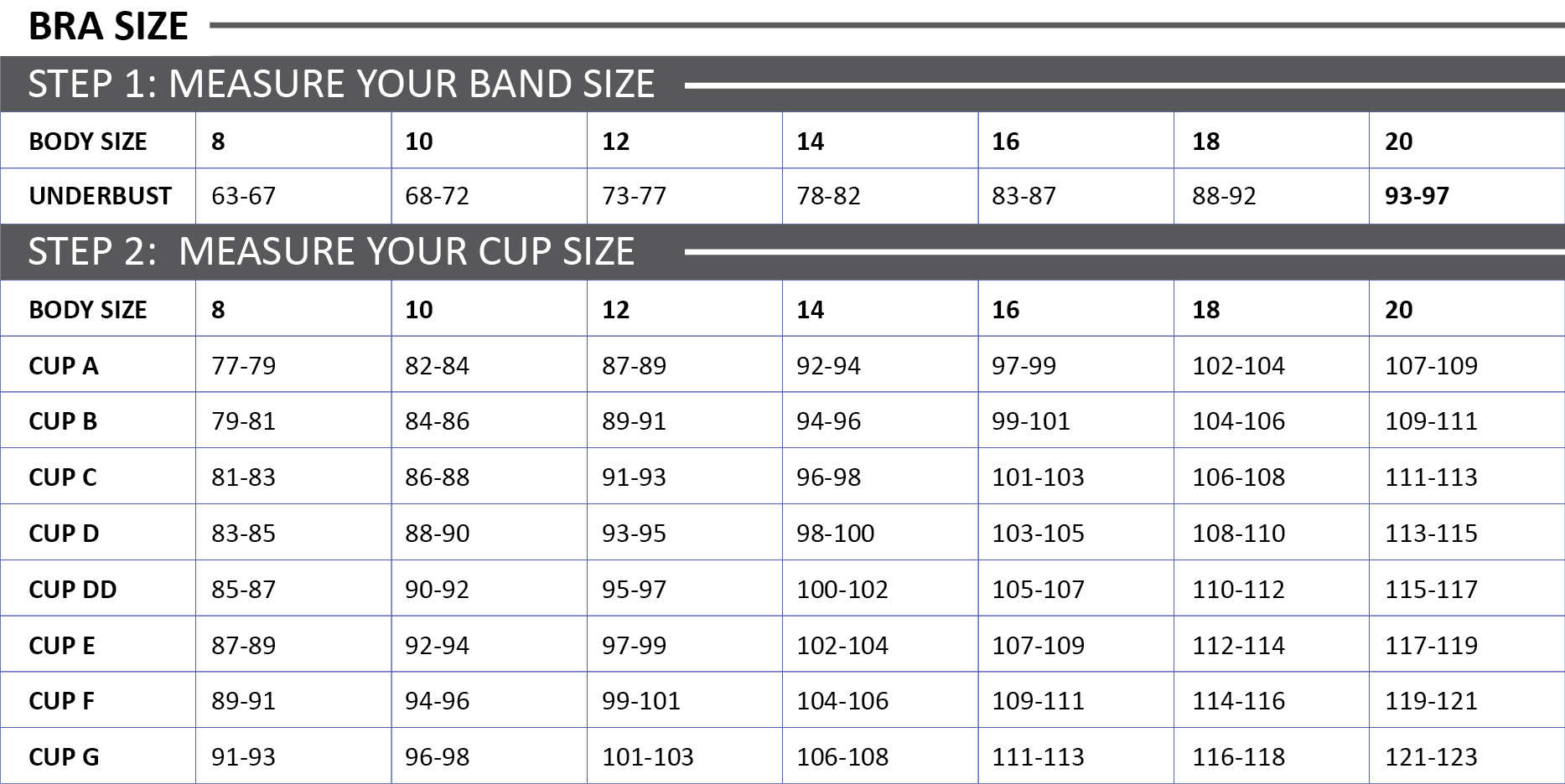 bra cup size chart